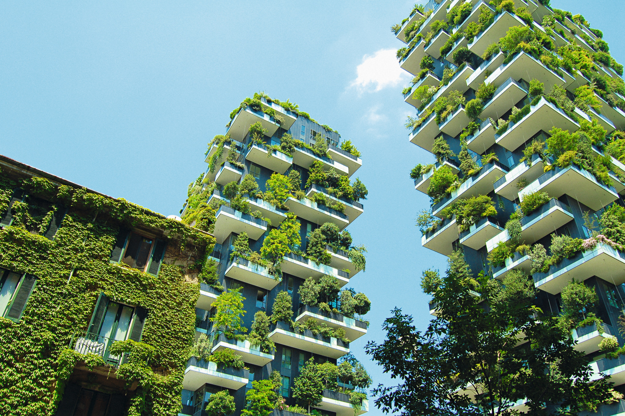 holcim 2021 bosco verticale italy isocv2 1 4 1 holcim 2021 bosco verticale italy isocv2 1 4 1