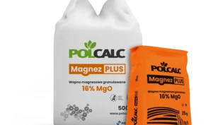 polcalc-magnez-plus-25-500-bez-cienia.png
