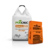 polcalc-magnez-plus-25-500-bez-cienia.png