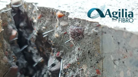 agilafibro.jpg