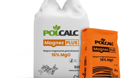 polcalc-magnez-plus-25-500-bez-cienia.png
