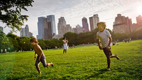 Zdjęcie korporacyjne Holcim